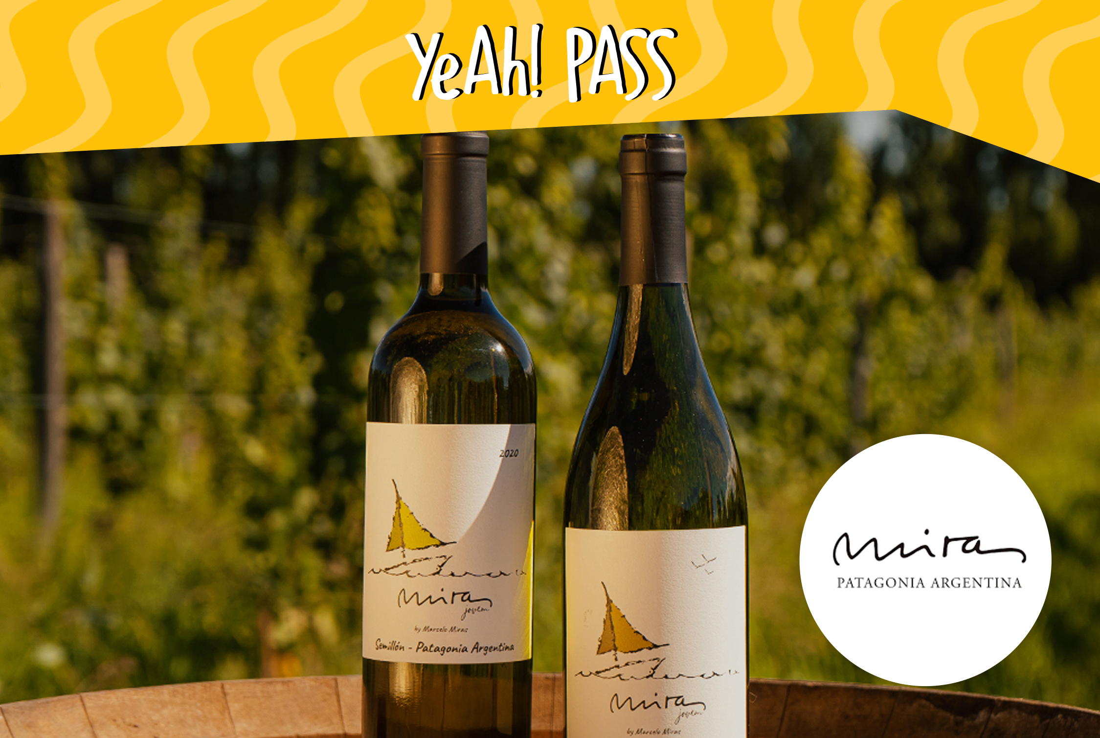 Bodega Miras
