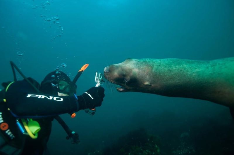 Curso de buceo SCUBA DIVER