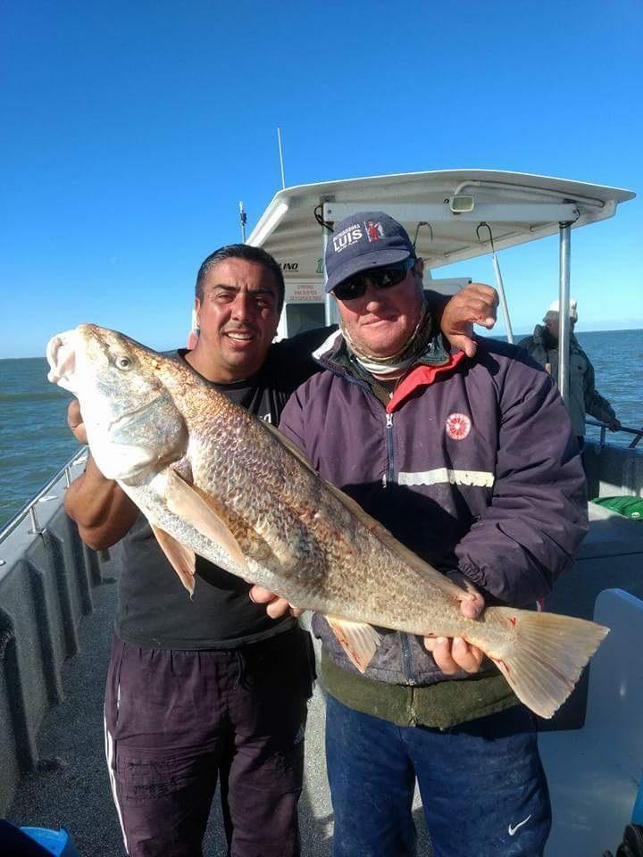 Pesca Variada Embarcada (Bahia San Blas)